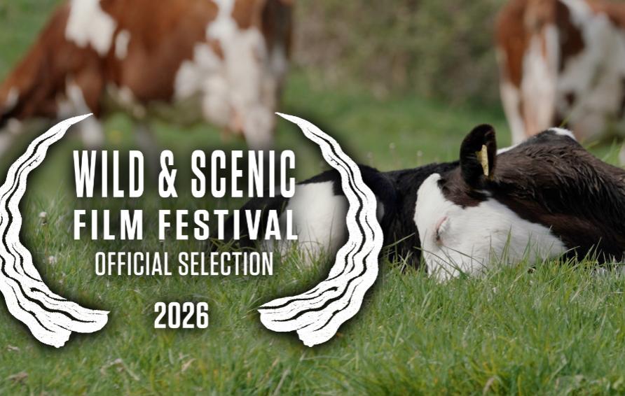 Wild & Scenic Film Festival laurels A Dairy Story