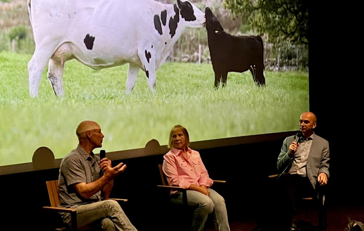 A Dairy Story Q&A Norwich