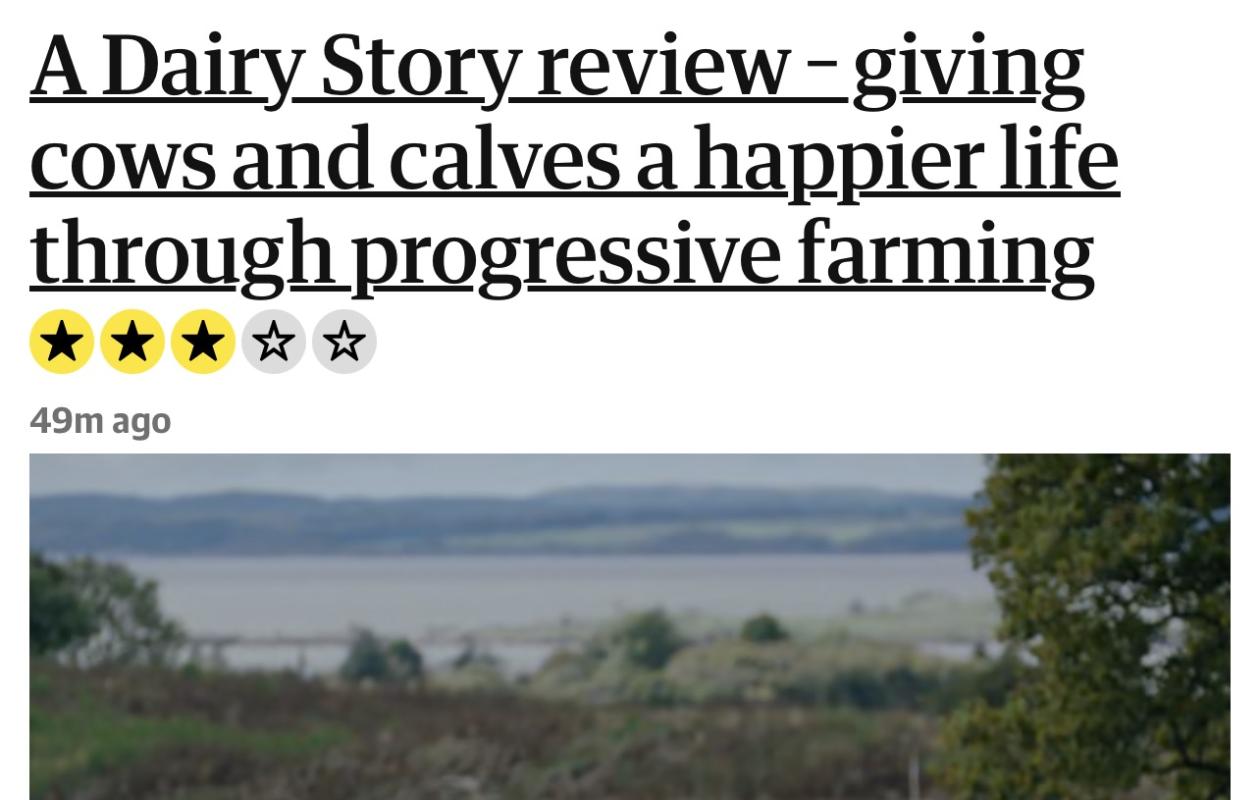 The Guardian Review 