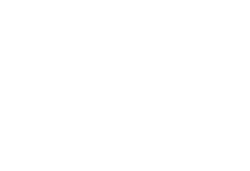 Twelve Lions Film Festival best documentary award